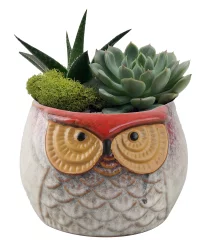 Forest Friend Ceramic Garden