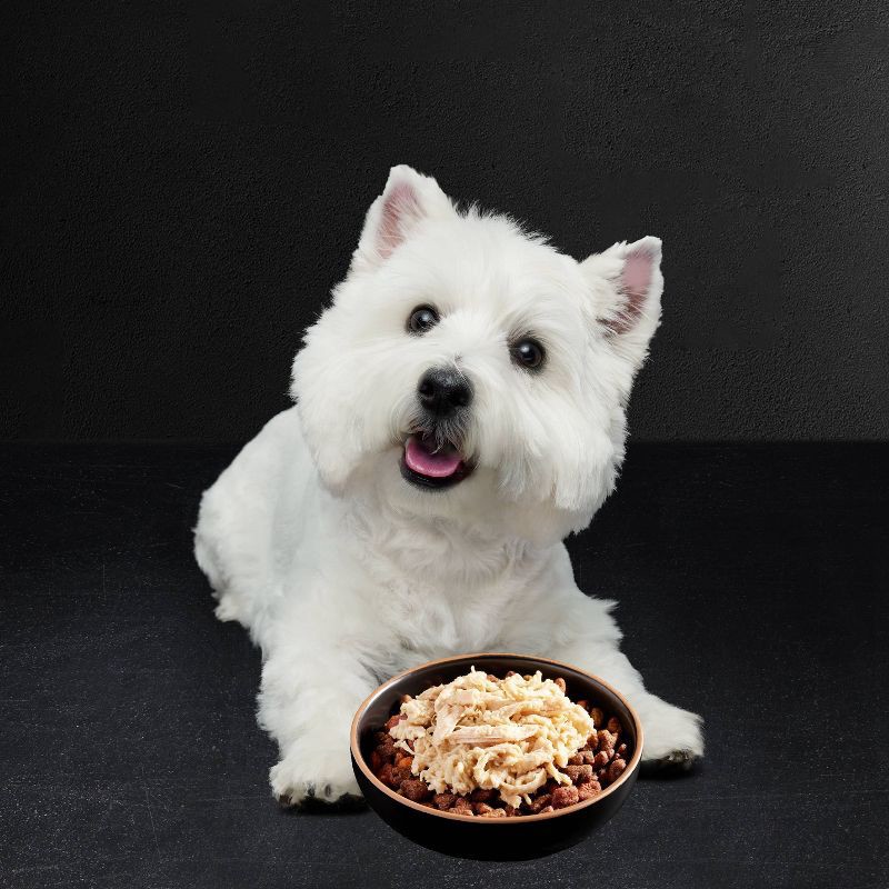 slide 4 of 10, Cesar Wholesome Bowls with Chicken, Carrots, Barley, and Green Beans Recipe & Beef, Purple Potatoes, and Carrots Adult Wet Dog Food - 3oz/6ct, 6 ct; 3 oz