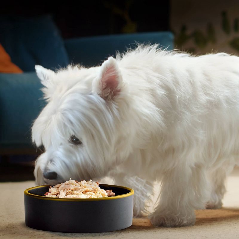 slide 6 of 10, Cesar Wholesome Bowls with Chicken, Carrots, Barley, and Green Beans Recipe & Beef, Purple Potatoes, and Carrots Adult Wet Dog Food - 3oz/6ct, 6 ct; 3 oz