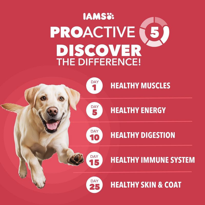 slide 3 of 11, IAMS Proactive Health Lamb and Rice Flavor Large Breed Adult Dry Dog Food - 30lbs, 30 lb