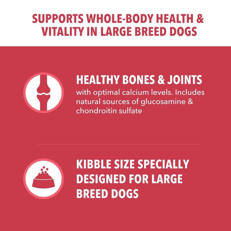 slide 5 of 11, IAMS Proactive Health Lamb and Rice Flavor Large Breed Adult Dry Dog Food - 30lbs, 30 lb