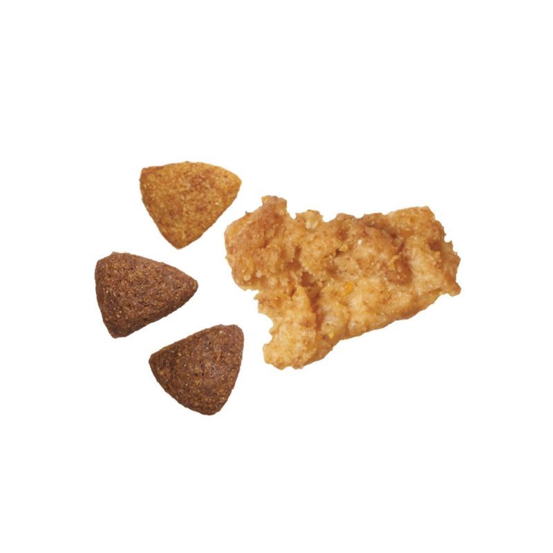 slide 2 of 7, Purina ONE +Plus Joint Health Natural Chicken Flavor Dry Dog Food - 31.1lbs, 31.1 lb