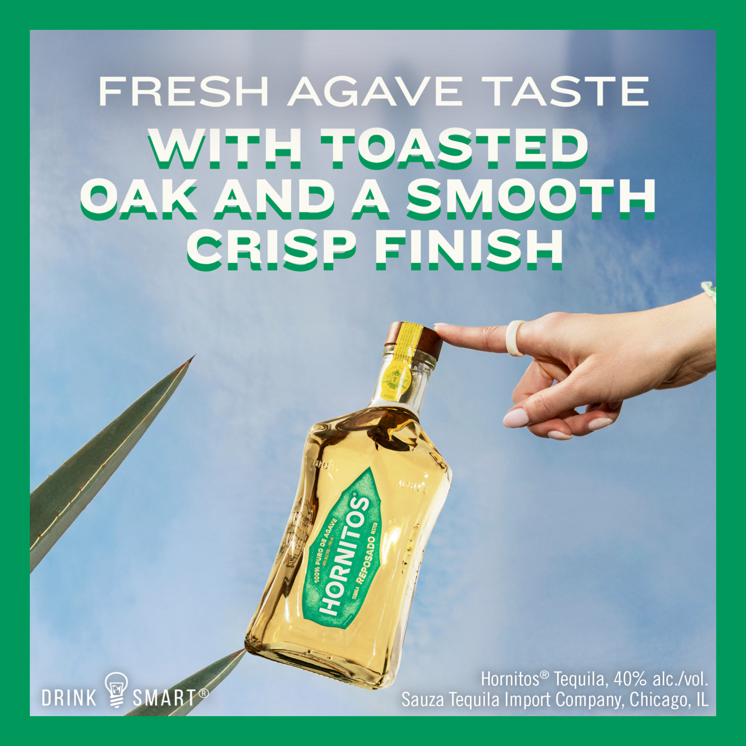 slide 4 of 8, Hornitos Reposado Tequila 1.75 lt, 1.75 liter