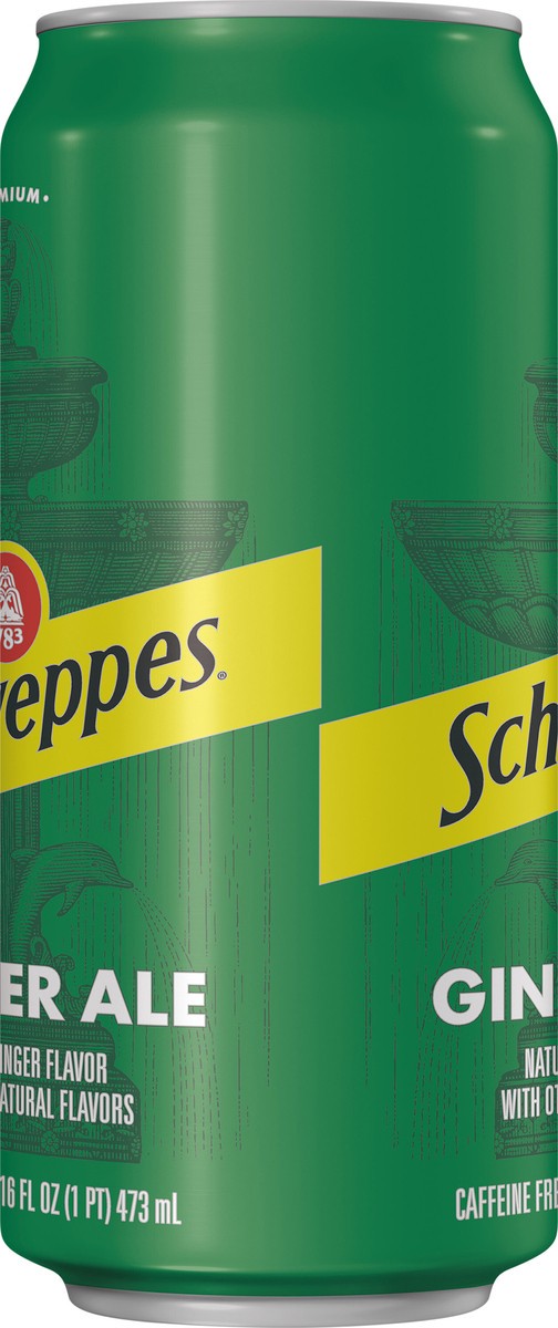 slide 6 of 12, Schweppes Ginger Ale Soda, 16 fl oz can, 16 fl oz