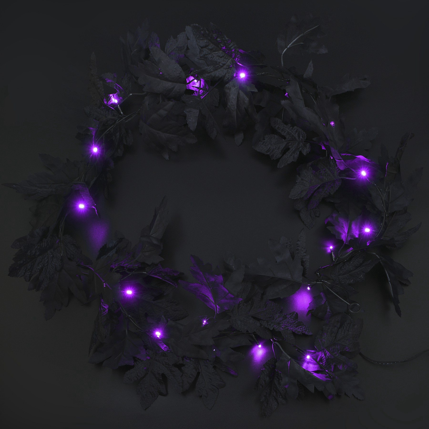 slide 2 of 2, 20ct. Purple Led Black Leaf Garland String Lights By Ashland, 20 ct