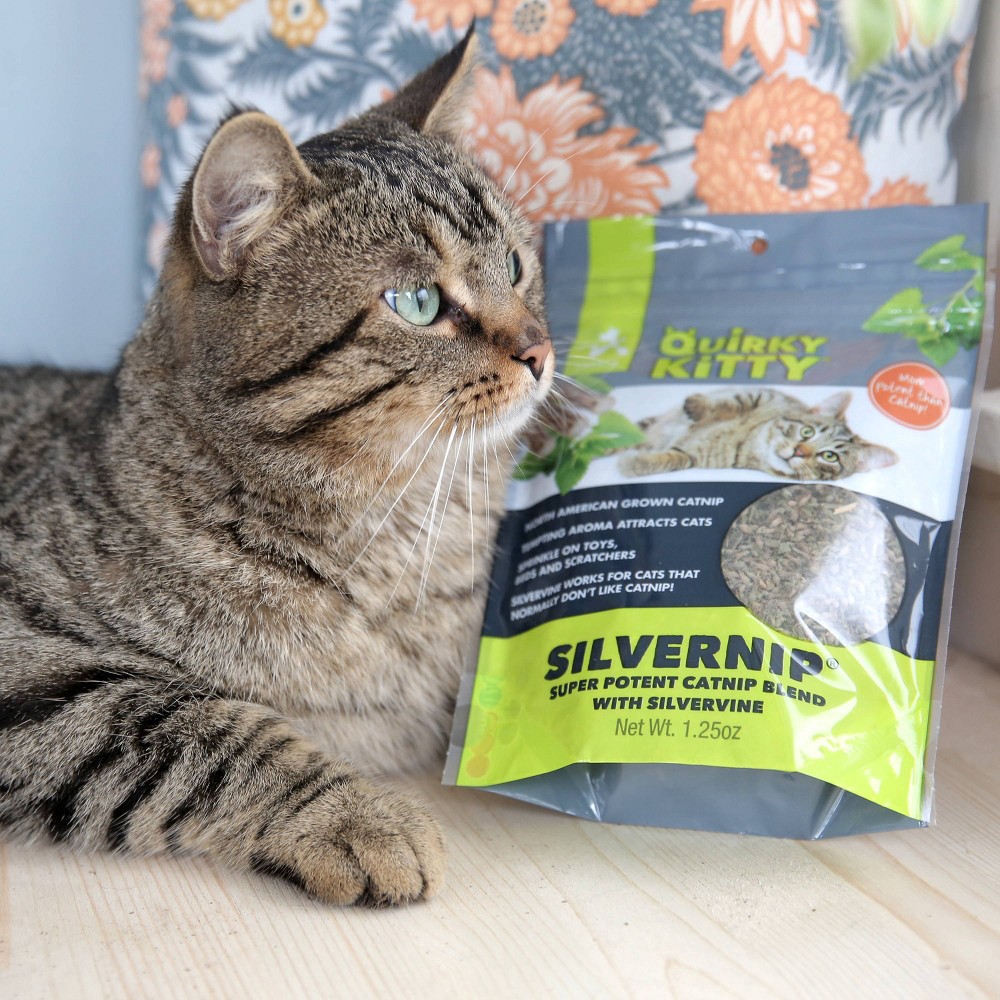 Quirky Kitty Silvervine & North American Catnip Blend Cat Treats - 1