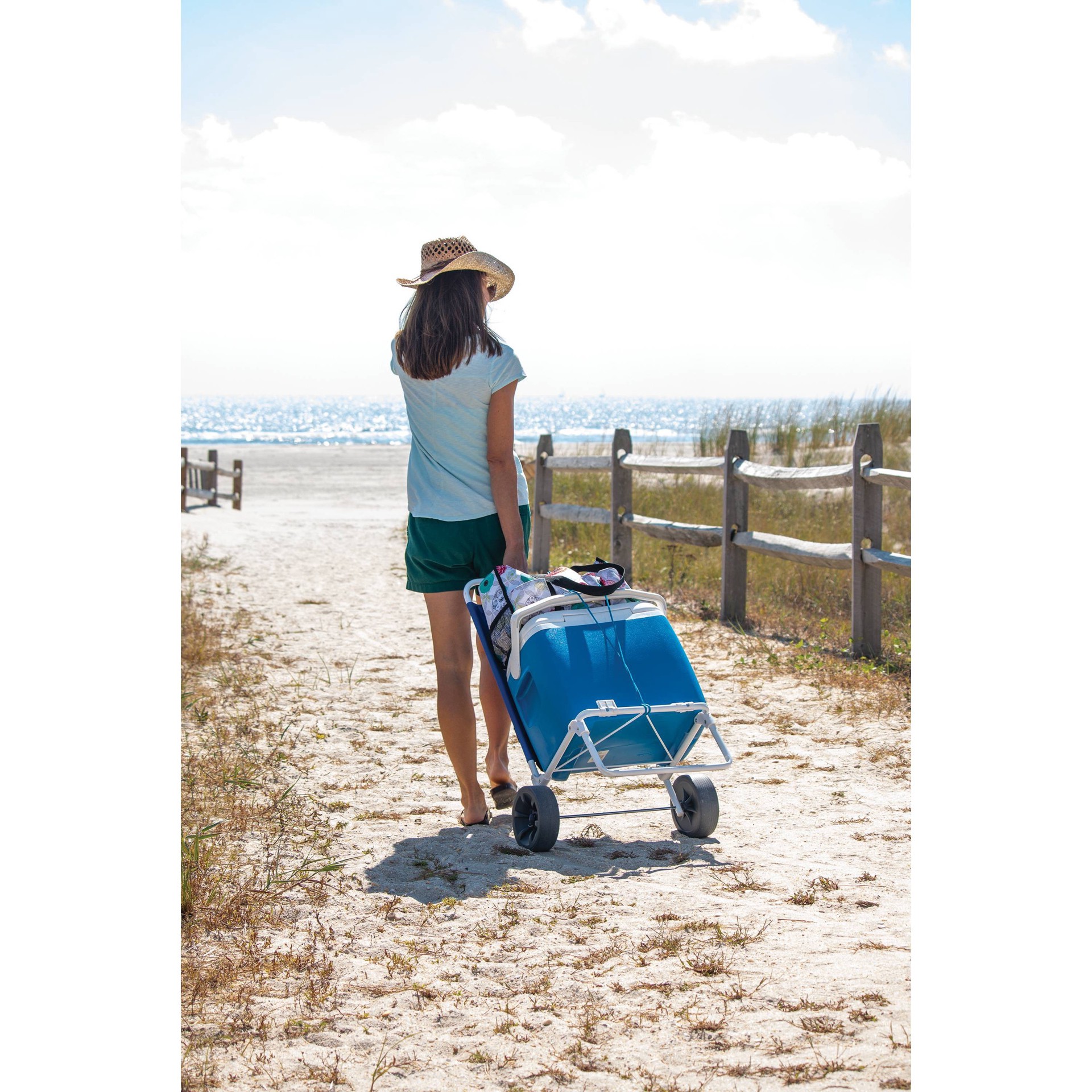 Go Cart Beach Cart Parrish Blue Sun Squad 1 ct Shipt