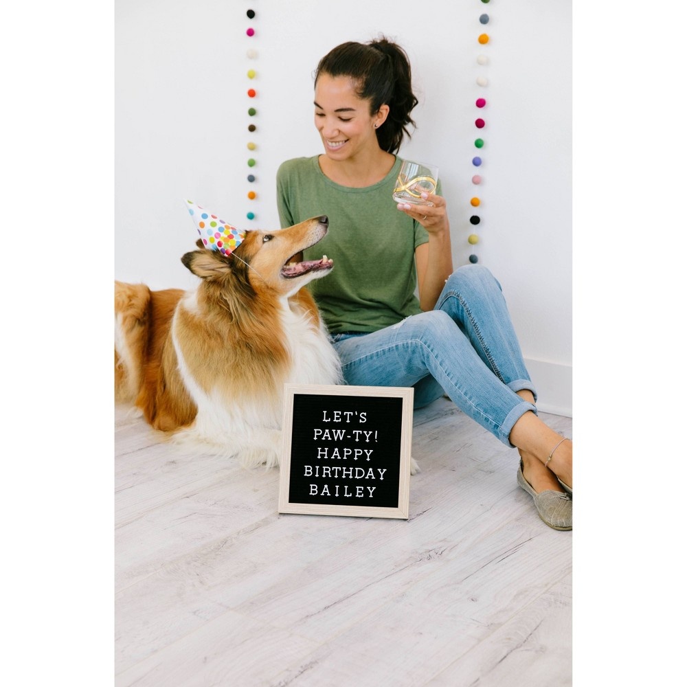 slide 8 of 8, Pearhead Pet Letterboard Set - Black, 1 ct