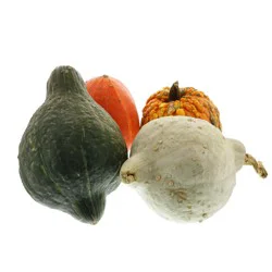 Fresh Hubbard Mix Pumpkins