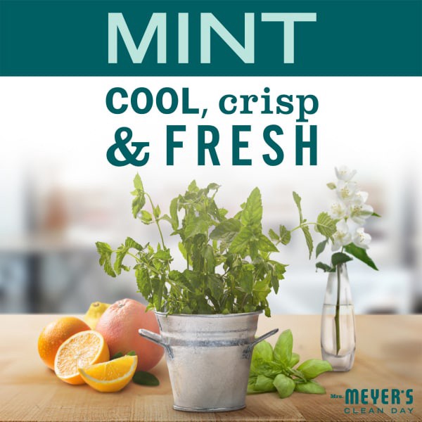 slide 3 of 21, Mrs. Meyer's Clean Day Mint Room Freshener Trigger Spray, 8 fl oz