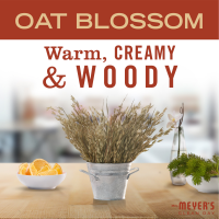 slide 3 of 17, Mrs. Meyer's Clean Day Oat Blossom Scent Hand Soap 12.5 fl oz, 12.5 fl oz