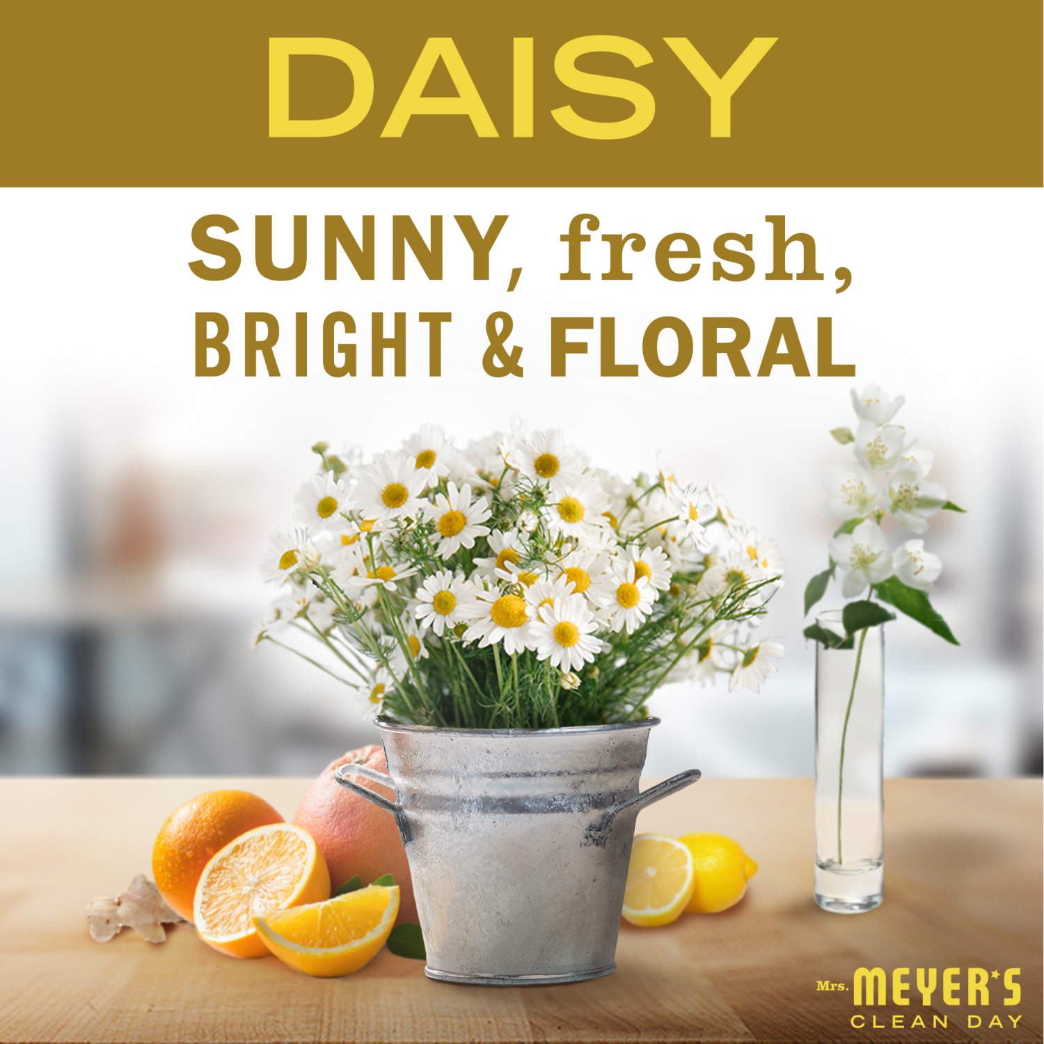 slide 2 of 4, Mrs. Meyer's Clean Day Daisy Multi-Surface Everyday Cleaner, 16 fl oz