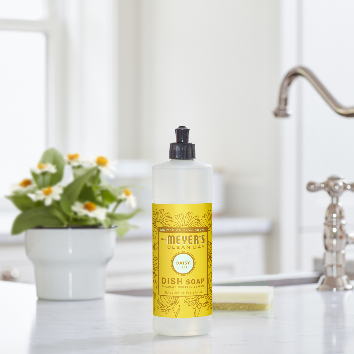 slide 13 of 21, Mrs. Meyer's Clean Day Liquid Dish Soap, Daisy Scent, 16 Ounce Bottle, 16 fl oz