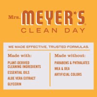 slide 12 of 21, Mrs. Meyer's Clean Day Orange Clove Holiday Dish Soap - 16 fl oz, 16 fl oz