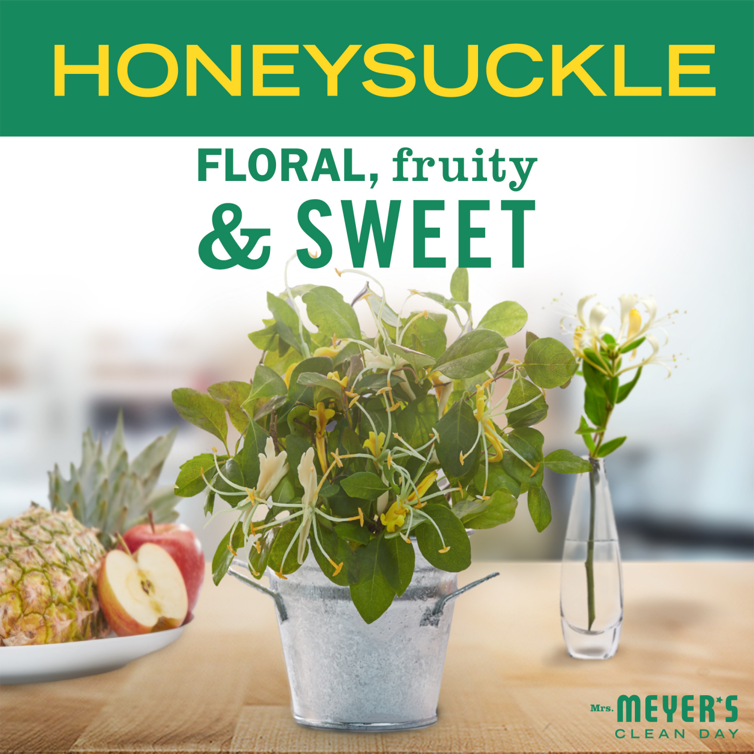 slide 3 of 5, Mrs. Meyer's Clean Day Apple Cider Scent Dish Soap 16 fl oz, 16 fl oz