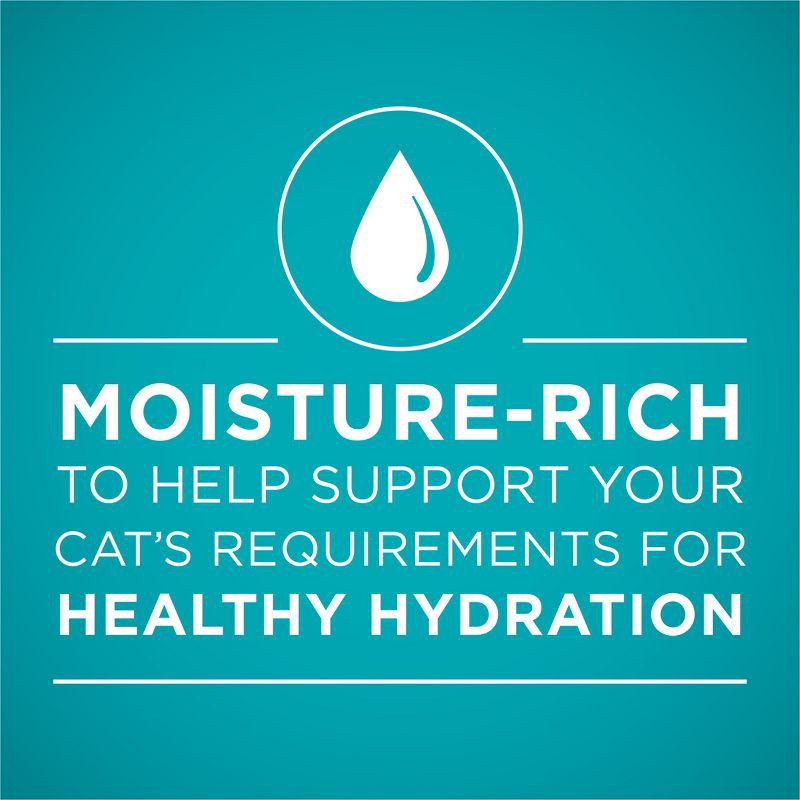 slide 6 of 13, Purina ONE True Instinct Turkey, Chicken & Tuna In Gravy Premium Wet Cat Food Variety Pack - 3oz/12ct, 12 ct; 3 oz