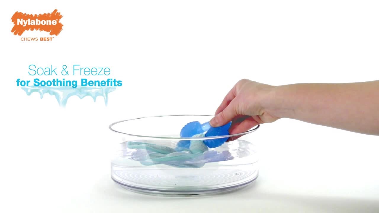 slide 9 of 10, Nylabone Puppy Chew Freezer Dog Toy Peanut Butter Chill & Chew Bone Small/Regular - Up to 25 Ibs.(1 Count), 1 ct