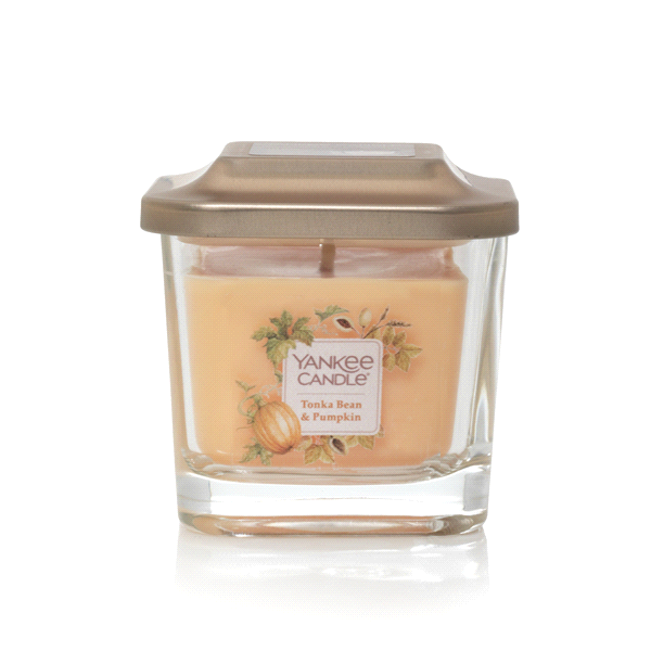 slide 1 of 1, Yankee Candle Elevation Small Jar Tonka Bean & Pumpkin, 3.4 oz