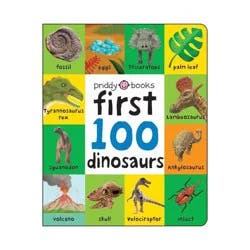 Macmillan First 100: First 100 Dinosaurs - by Roger Priddy (Board Book)