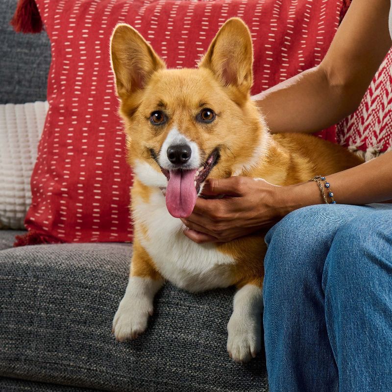 slide 2 of 6, Milk-Bone Dipped Peanut Butter Crunchy Dog Treats - 12oz, 12 oz