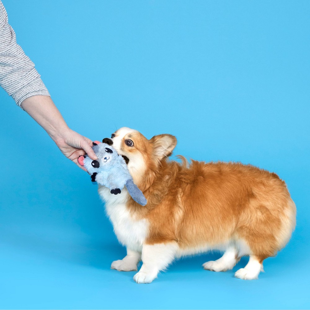 slide 4 of 5, BARK Sugar Glider Dog Toy - Sherri The Sugrrrr Glider, 1 ct