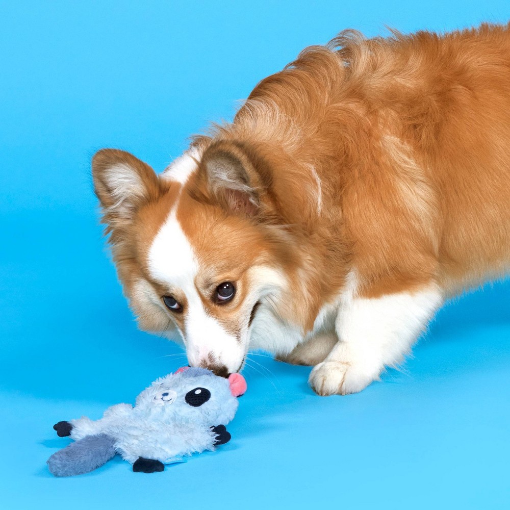 slide 2 of 5, BARK Sugar Glider Dog Toy - Sherri The Sugrrrr Glider, 1 ct