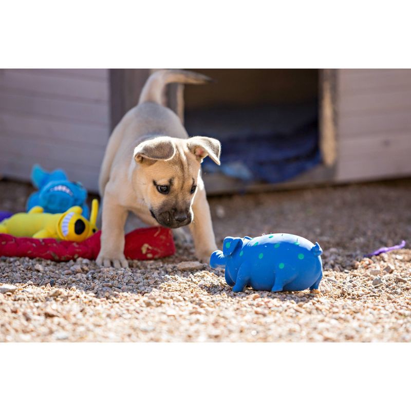 slide 5 of 5, Multipet Latex Polka Dot Pig Dog Toy - Blue - 9", 1 ct