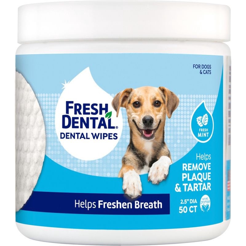 slide 1 of 4, Naturel Promise Fresh Dental Wipes - 50ct, 50 ct