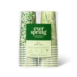 Disposable Cold Cups - 20ct/20oz - Everspring™