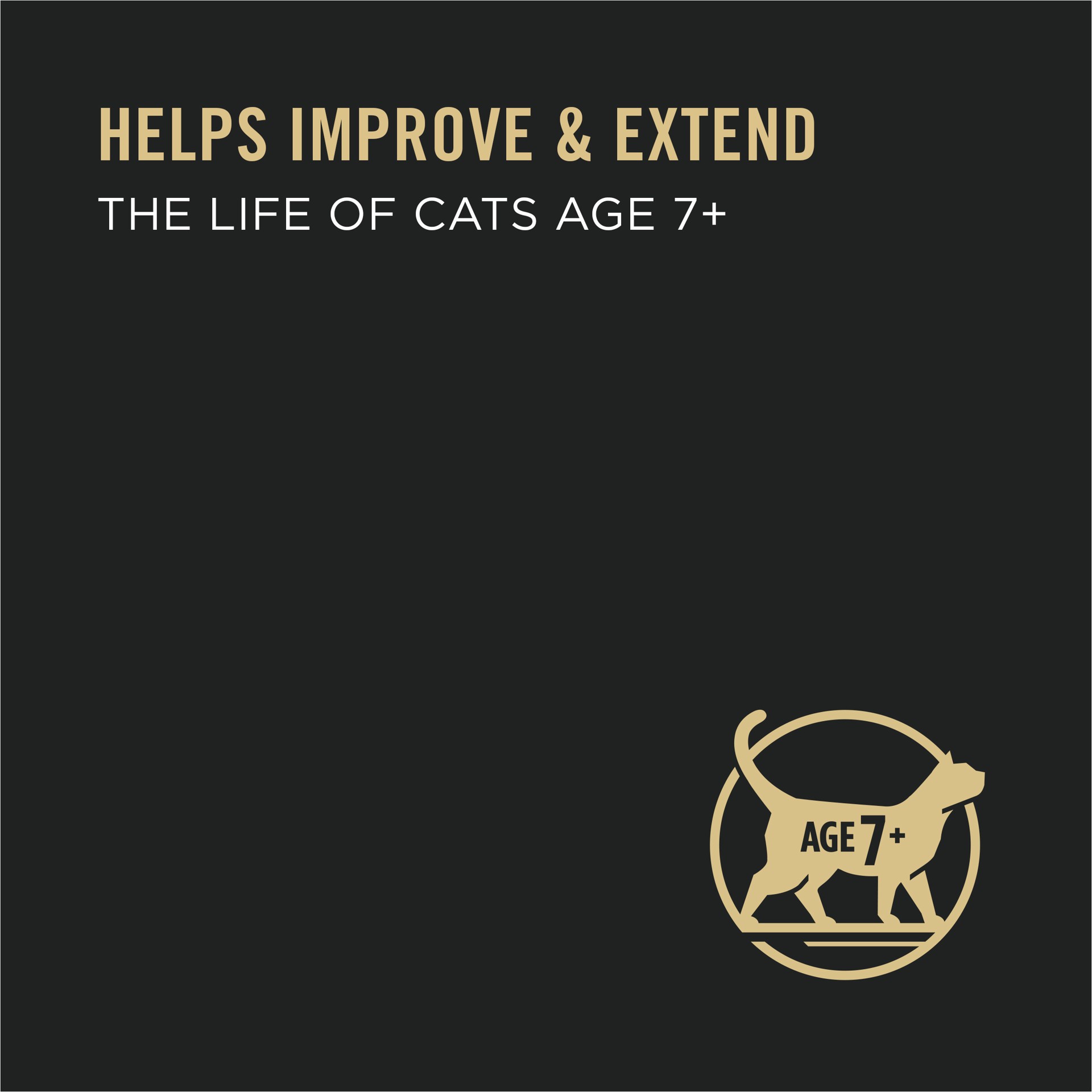 slide 7 of 9, Purina Pro Plan Grain Free Senior Wet Cat Food Variety Pack Pate, SENIOR Seafood Favorites, 2.25 lb