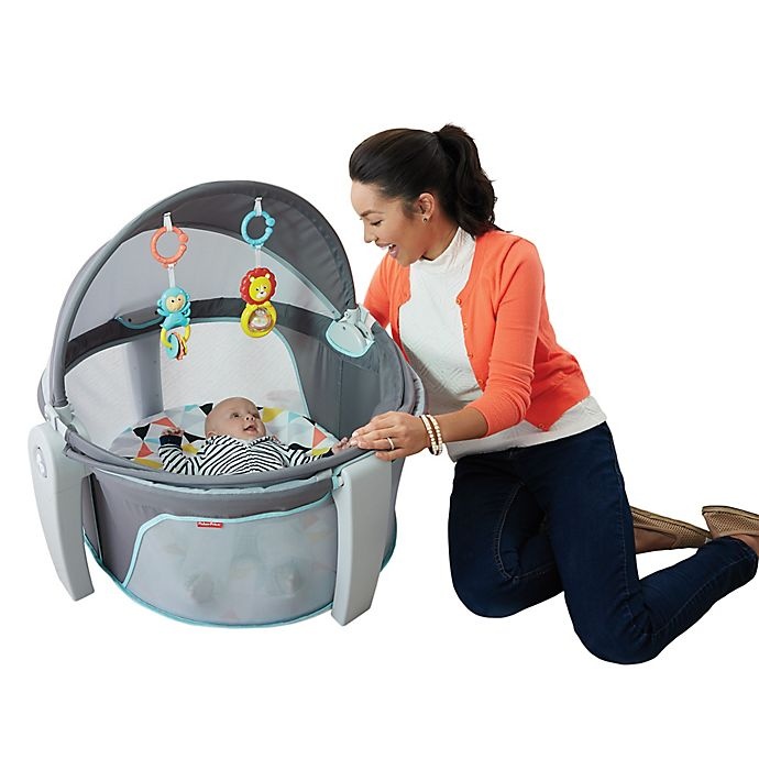 slide 2 of 5, Fisher-Price on-the-Go Baby Dome - Windmill, 1 ct