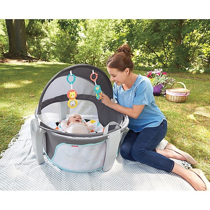 slide 4 of 5, Fisher-Price on-the-Go Baby Dome - Windmill, 1 ct