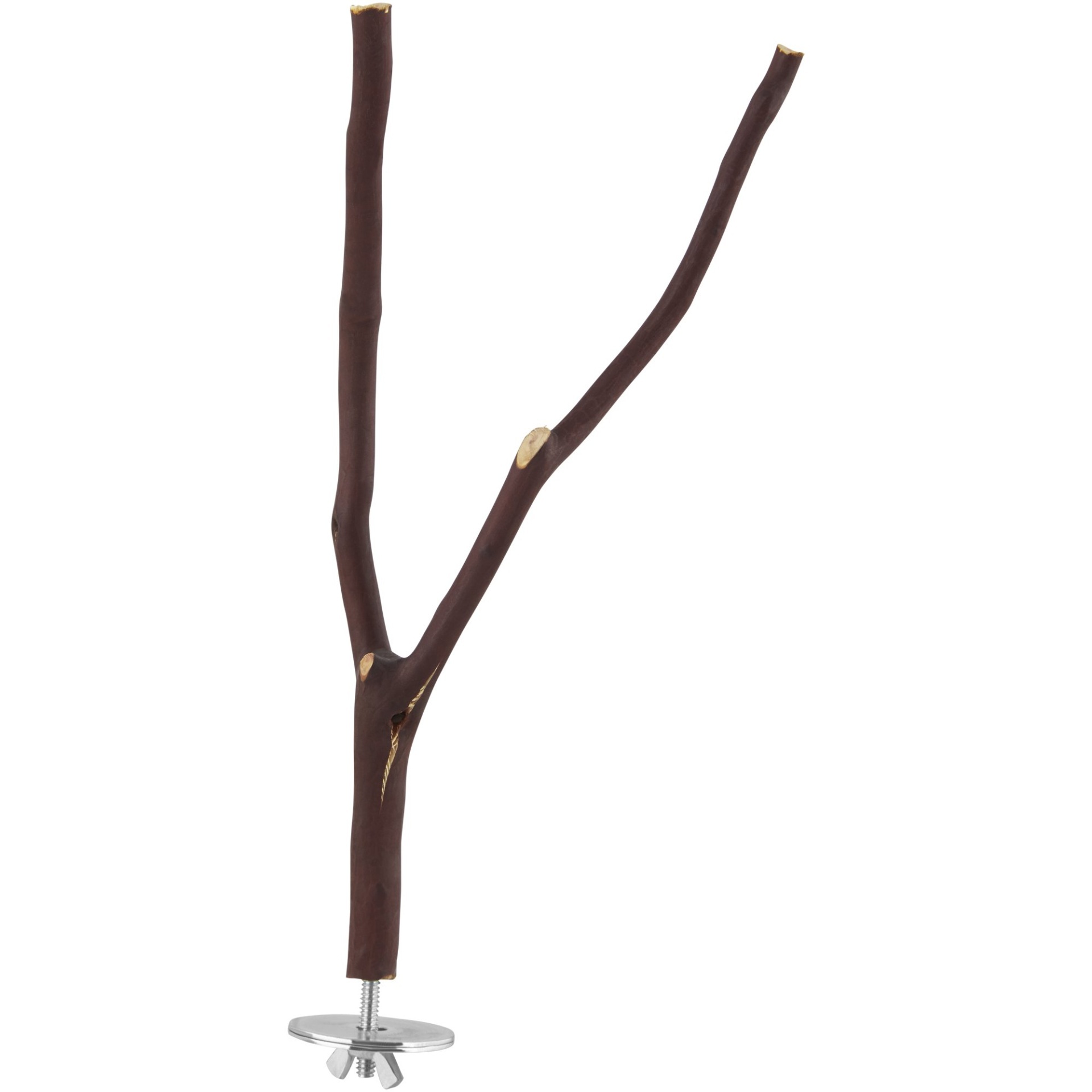 slide 1 of 1, You & Me Bird Manzanita Wood Multi-Branch Bird Perch, MED