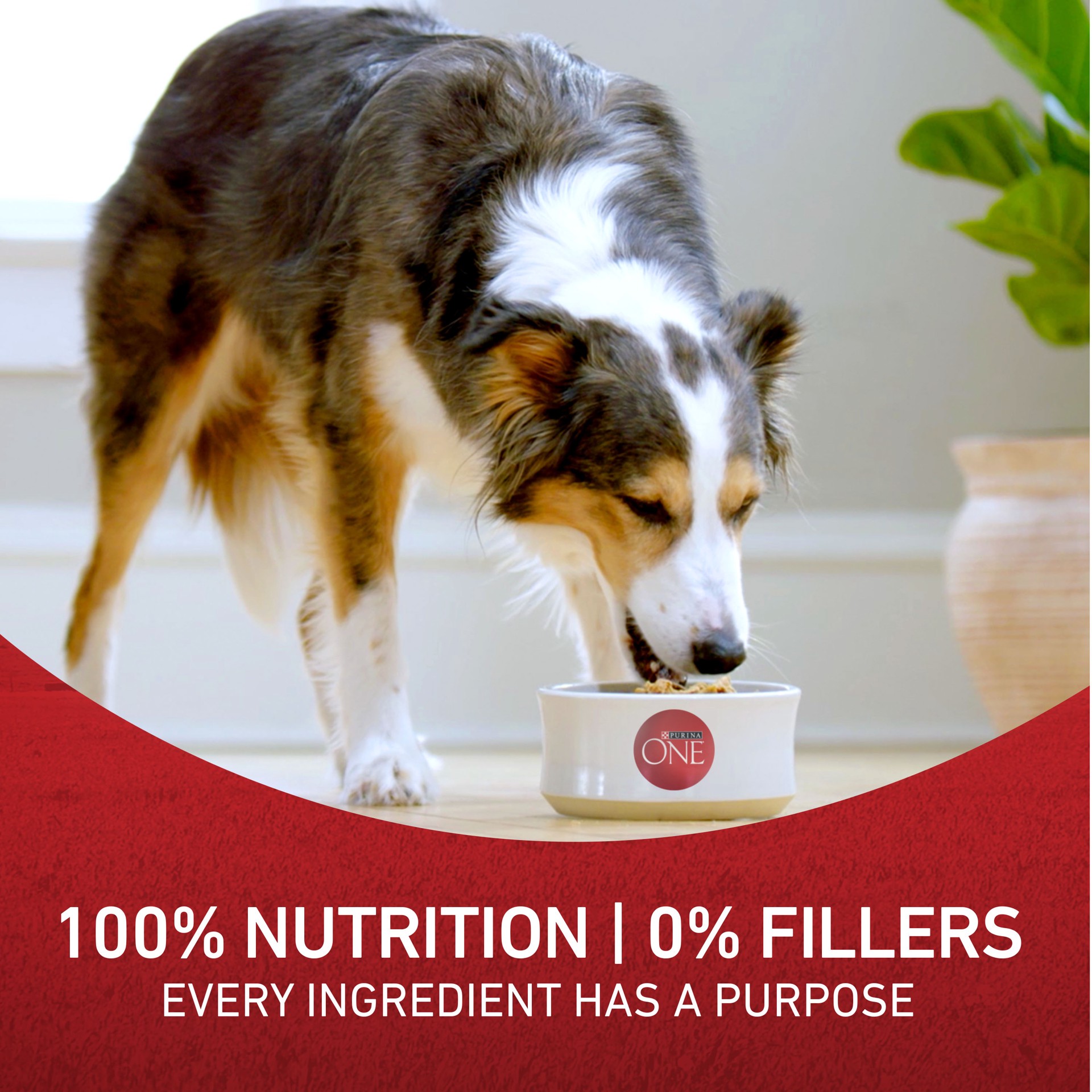 slide 8 of 8, ONE Purina ONE Small Bites Beef and Rice Formula Small High Protein Dry Dog Food Natural With Added Vitamins, Minerals and Nutrients, 31.1 lb