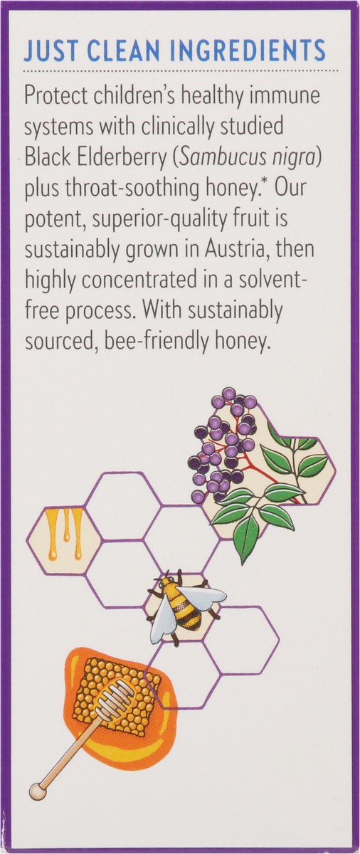 slide 2 of 13, New Chapter Kids Syrup + Honey Elderberry Pure Immune Defense 118 - 4 fl oz, 4 fl oz