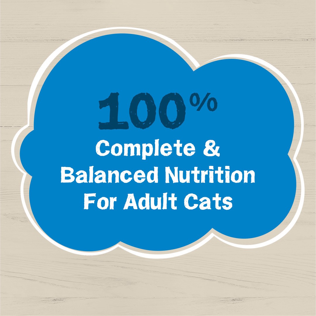 slide 7 of 8, Friskies Purina Friskies Natural Wet Cat Food, Ocean Favorites Meaty Bits With Salmon, Shrimp & Brown Rice, 5.5 oz