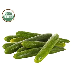 Fresh Organic Seedless Cucumber
