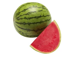Little Bear Mini Seedless Watermelons