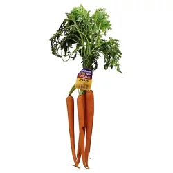 Cal-Organic Farms Organic Carrots - Bunch