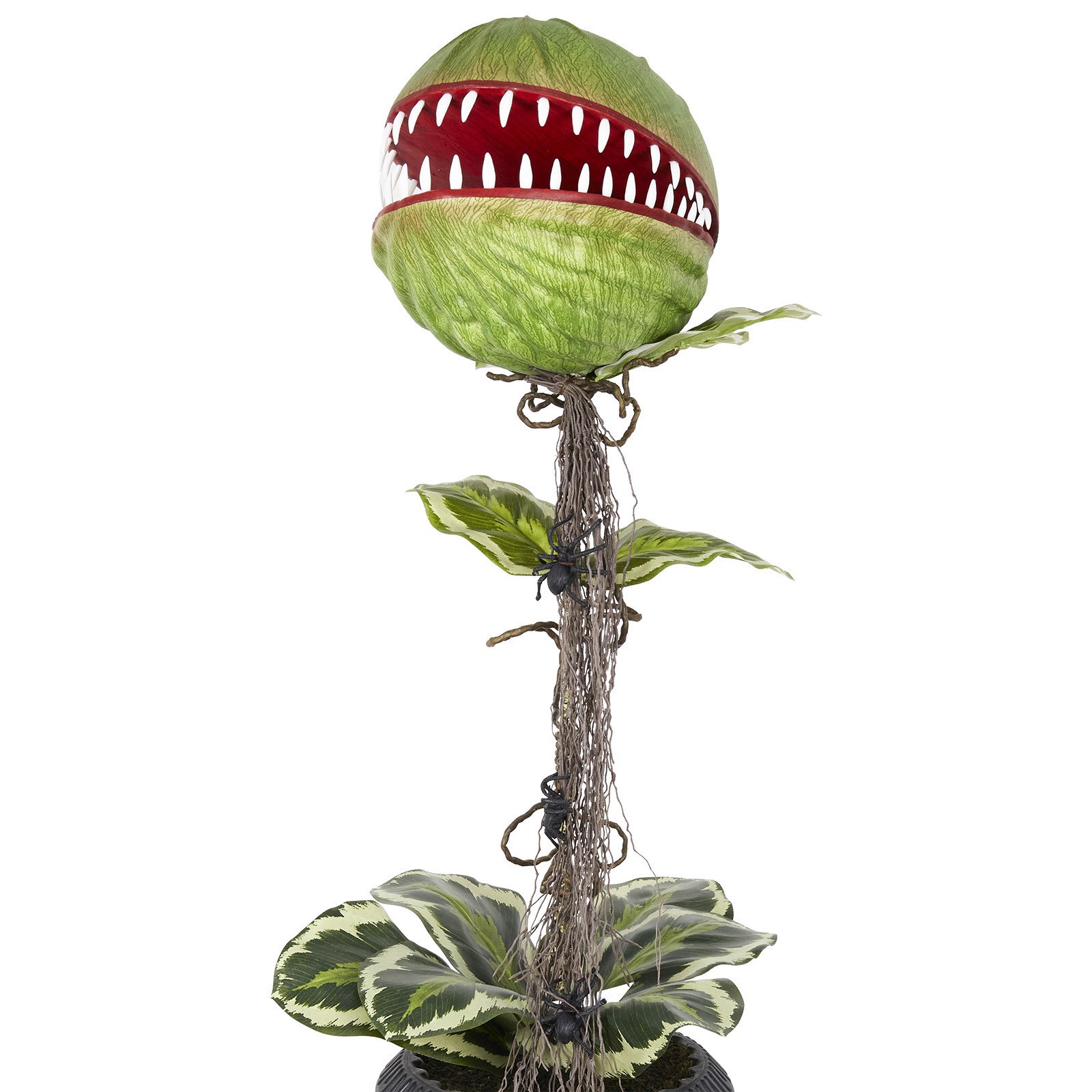 slide 2 of 2, 46" Venus Flytrap In Black Urn By Ashland, 16 in x 16 in x 46 in