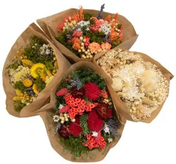 Central Market Dried Fantasy Bouquet
