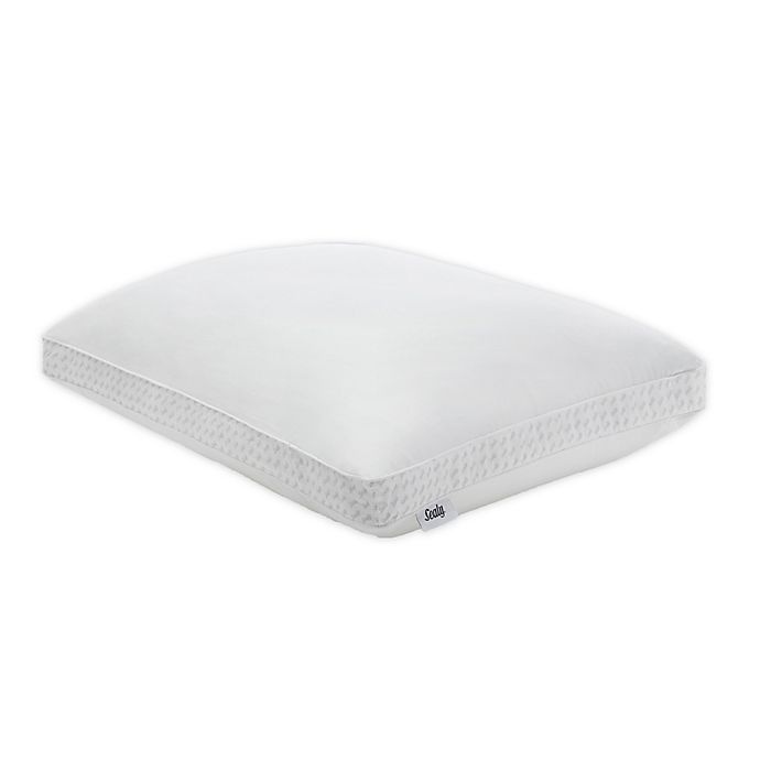 slide 1 of 8, Sealy Down Alternative and Memory Foam Standard/Queen Pillow, 1 ct