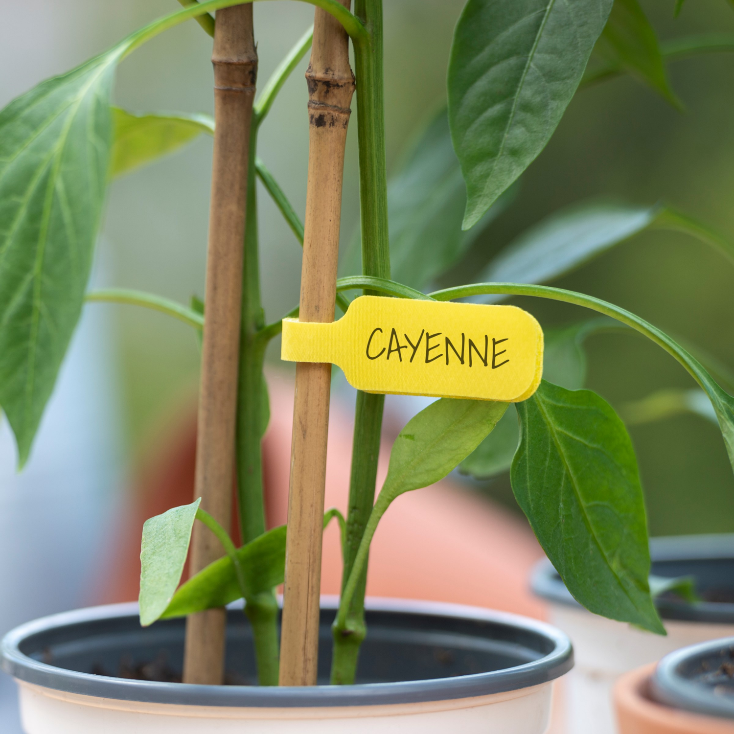 slide 6 of 8, Wrap-It 16pk Cable Labels Medium Multicolor, 16 ct