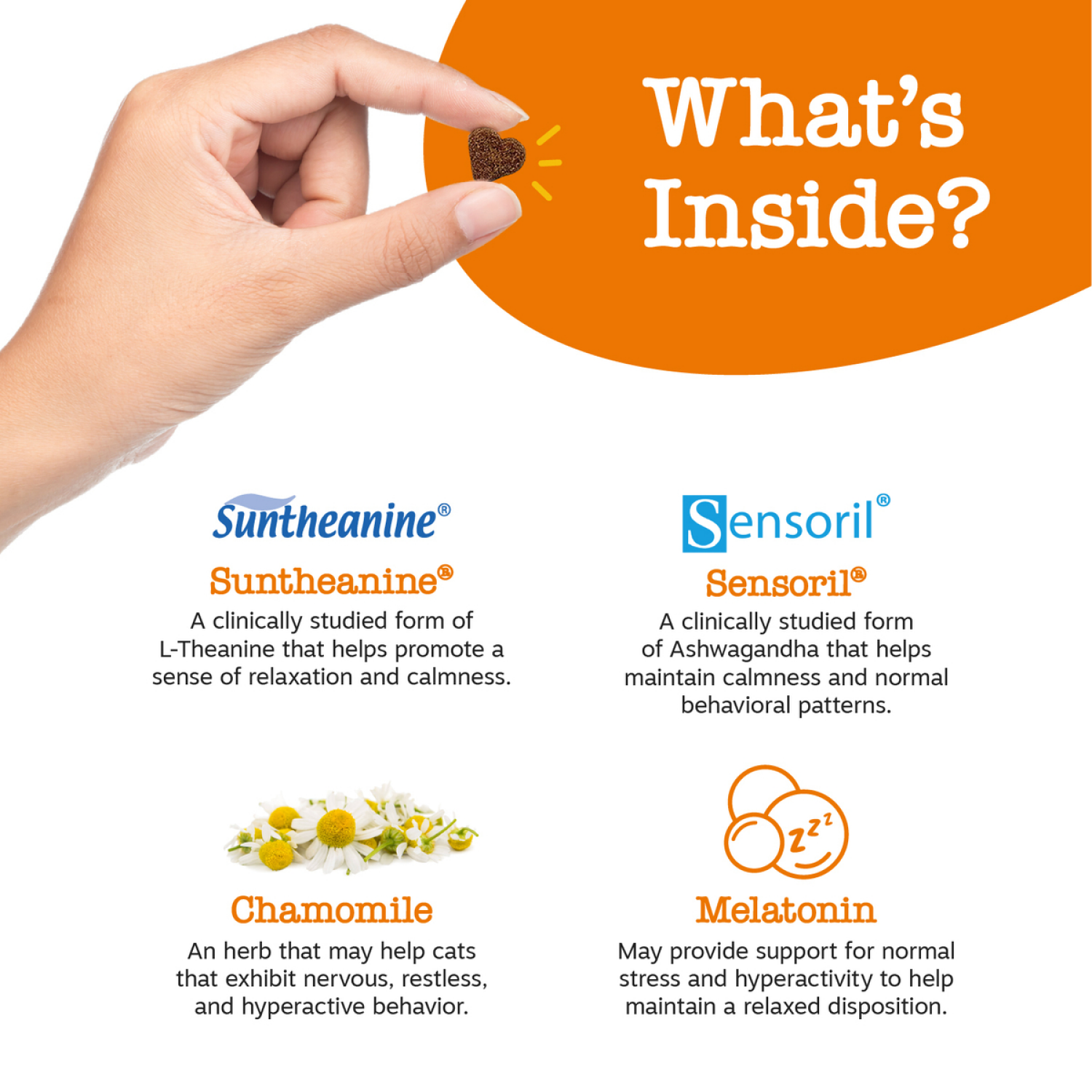 slide 5 of 6, Zesty Paws Calming Bites for Cats, Bacon 30ct, 30 ct