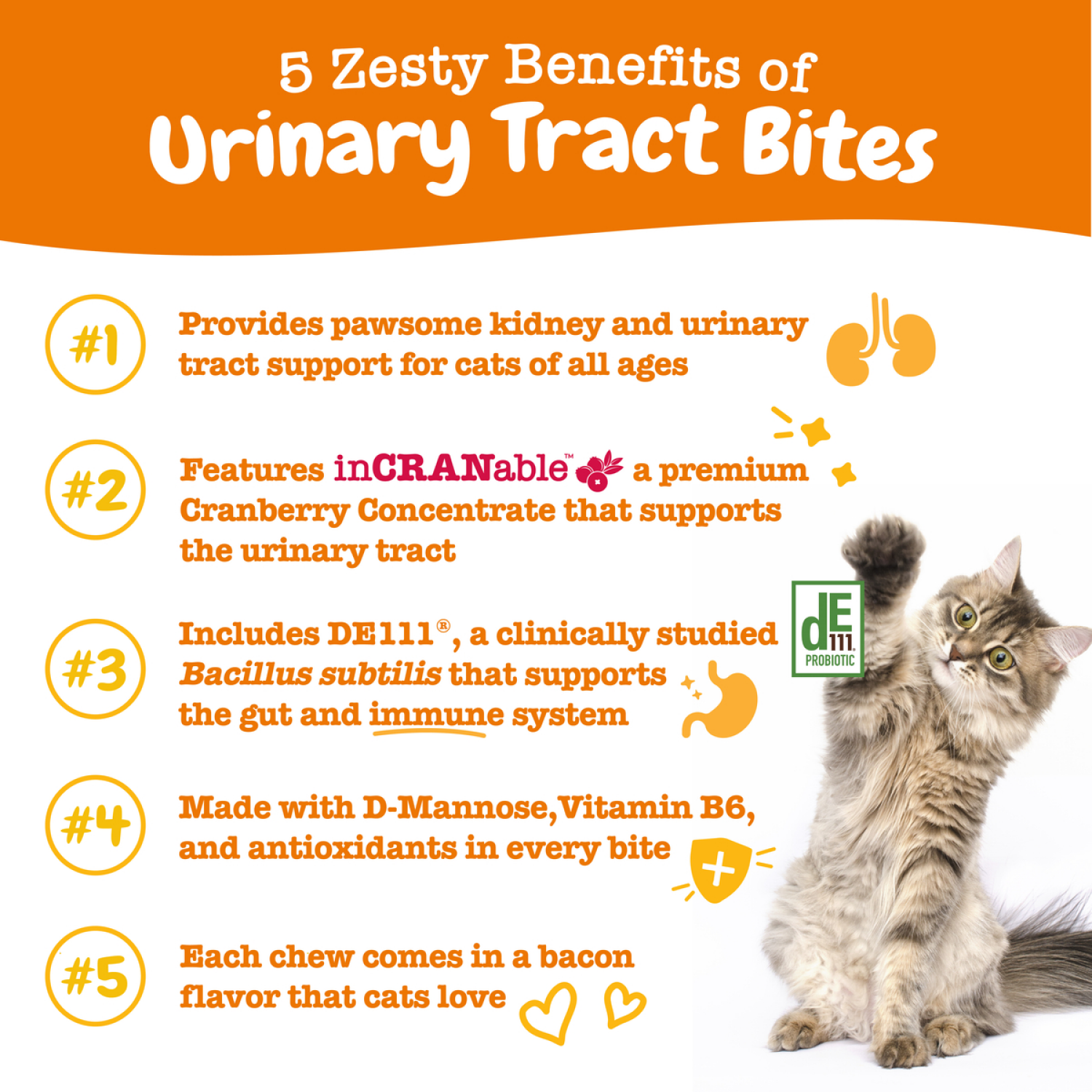 slide 3 of 5, Zesty Paws Urinary Tract Bites Cat, Bacon, 30ct, 30 ct