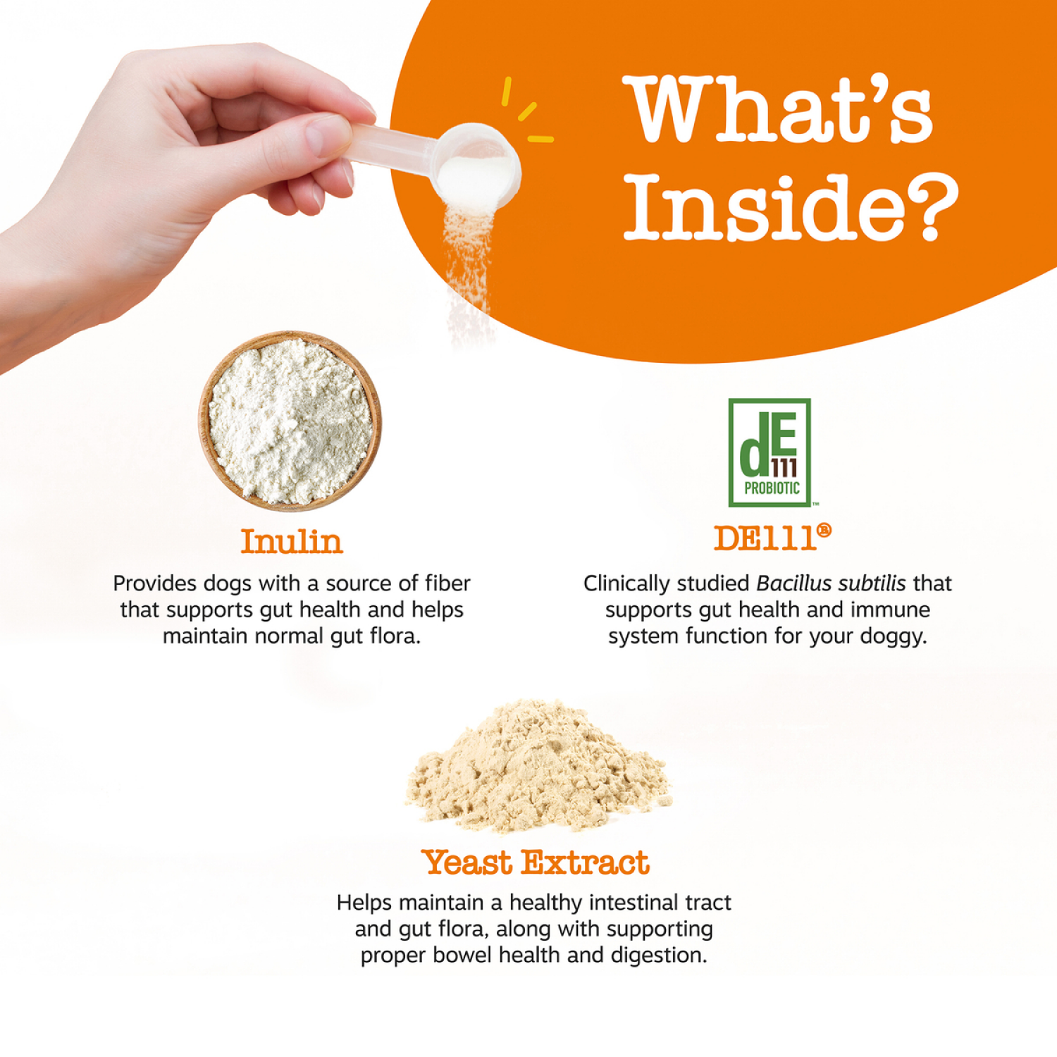 slide 3 of 7, Zesty Paws Probiotic Powder, Pumpkin, 5.2OZ, 5.2 oz