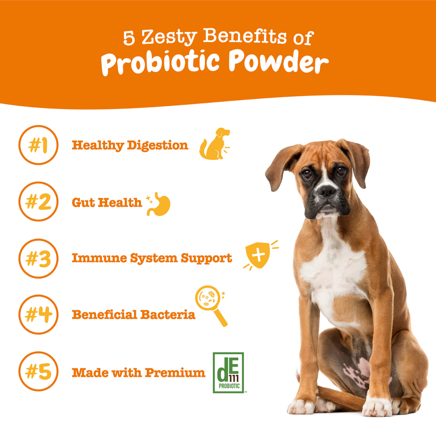 slide 7 of 7, Zesty Paws Probiotic Powder, Pumpkin, 5.2OZ, 5.2 oz