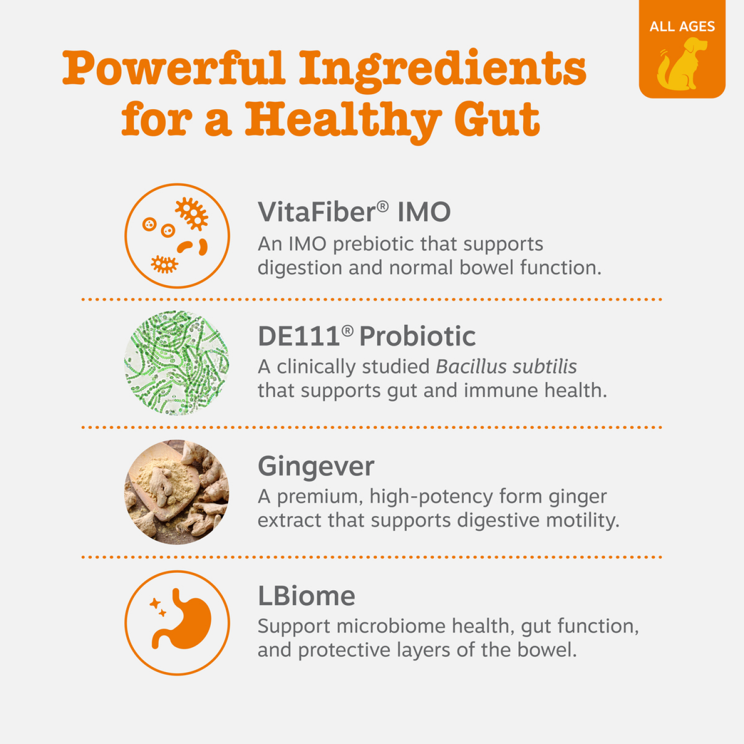slide 3 of 4, Zesty Paws Vet Strength Pre, Post & Probiotic Bites, 60ct., 60 ct
