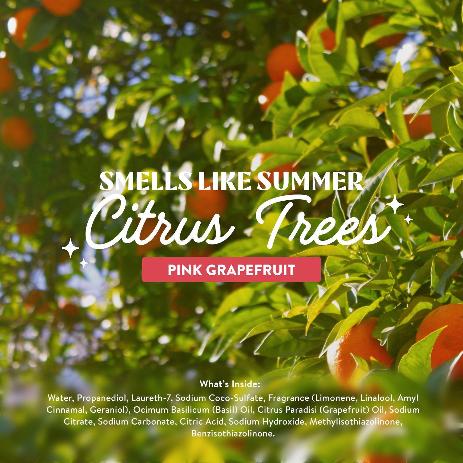 slide 5 of 7, Clean Cult™ All Purpose Cleaner, 16 fl oz