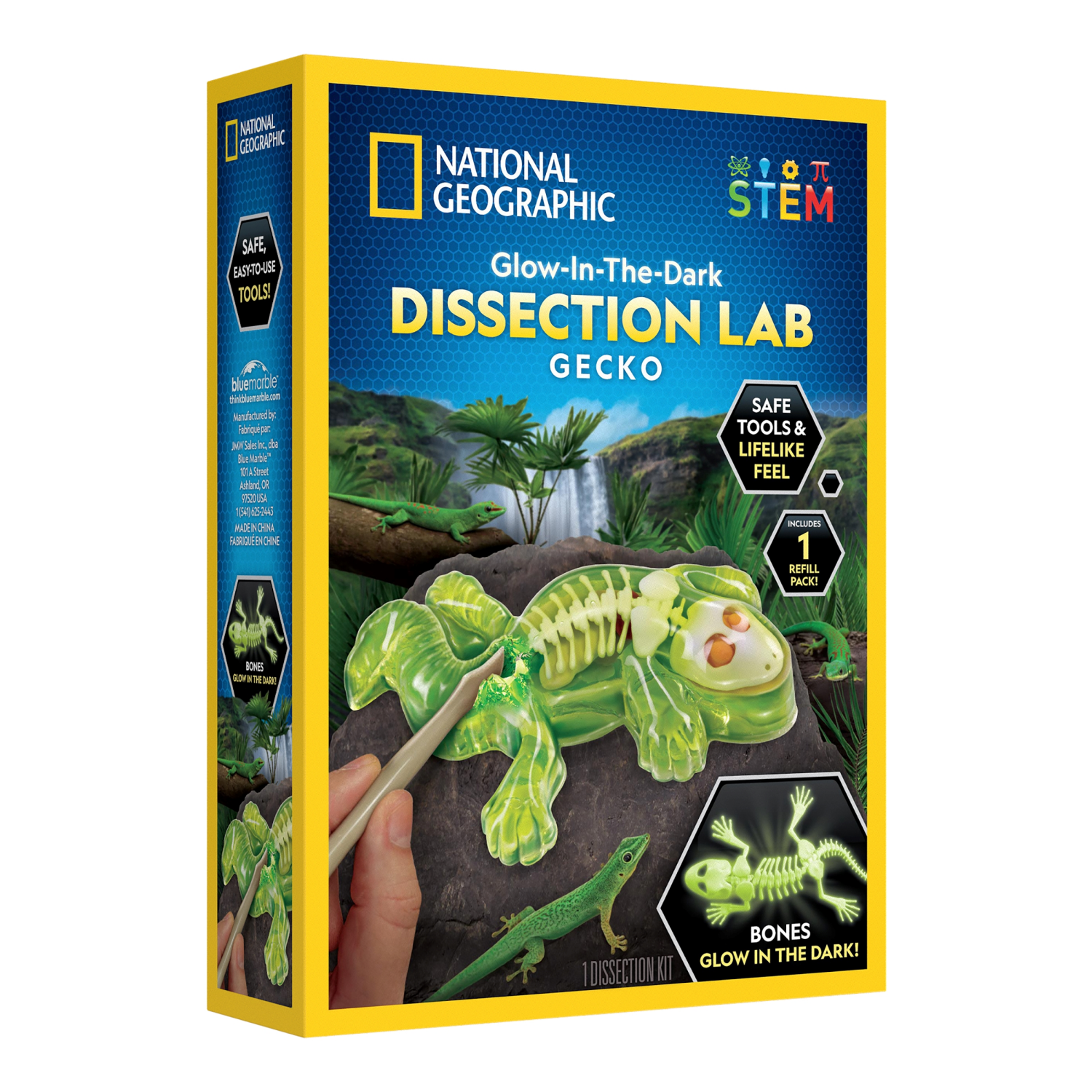 slide 2 of 3, National Geographic Glow-in-the-Dark Gecko Dissection Lab, 1 ct